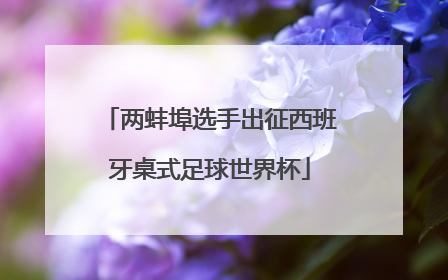 两蚌埠选手出征西班牙桌式足球世界杯