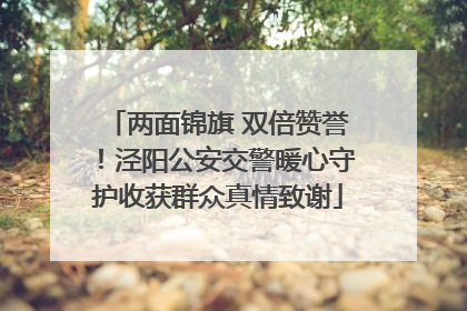 两面锦旗 双倍赞誉！泾阳公安交警暖心守护收获群众真情致谢