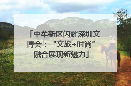 中牟新区闪耀深圳文博会：“文旅+时尚”融合展现新魅力