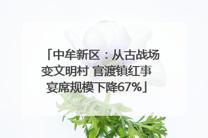 中牟新区：从古战场变文明村 官渡镇红事宴席规模下降67%