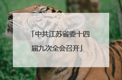 中共江苏省委十四届九次全会召开