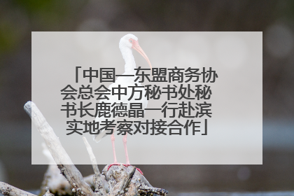 中国—东盟商务协会总会中方秘书处秘书长鹿德晶一行赴滨实地考察对接合作