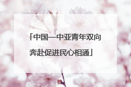 中国—中亚青年双向奔赴促进民心相通