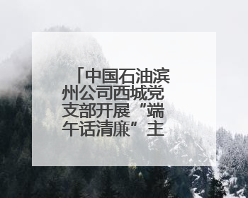 中国石油滨州公司西城党支部开展“端午话清廉”主题党日活动
