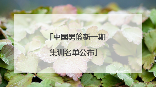 中国男篮新一期集训名单公布