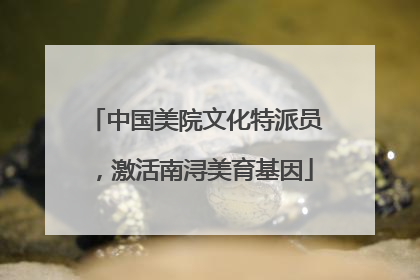 中国美院文化特派员，激活南浔美育基因