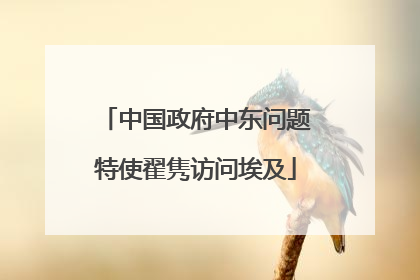 中国政府中东问题特使翟隽访问埃及