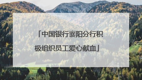 中国银行襄阳分行积极组织员工爱心献血