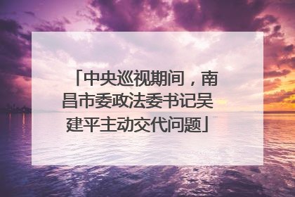 中央巡视期间，南昌市委政法委书记吴建平主动交代问题