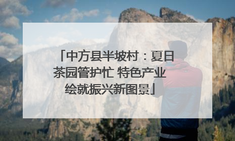 中方县半坡村：夏日茶园管护忙 特色产业绘就振兴新图景