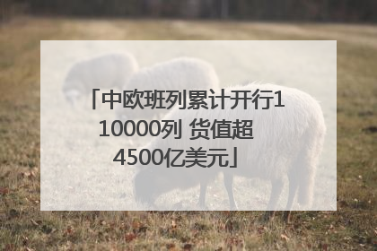中欧班列累计开行110000列 货值超4500亿美元