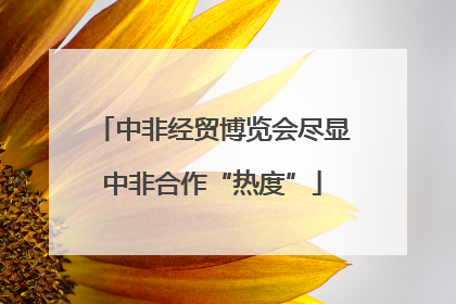中非经贸博览会尽显中非合作“热度”