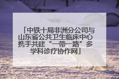中铁十局非洲分公司与山东省公共卫生临床中心携手共建“一带一路”多学科诊疗协作网
