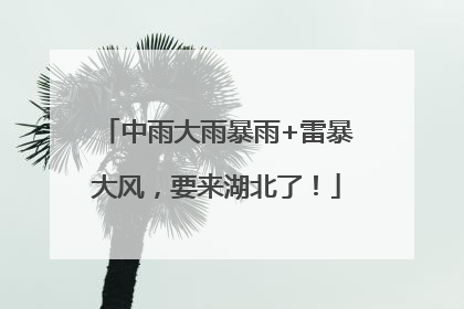 中雨大雨暴雨+雷暴大风，要来湖北了！