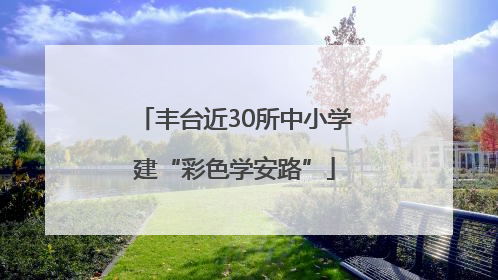 丰台近30所中小学建“彩色学安路”