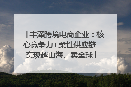 丰泽跨境电商企业：核心竞争力+柔性供应链 实现越山海、卖全球