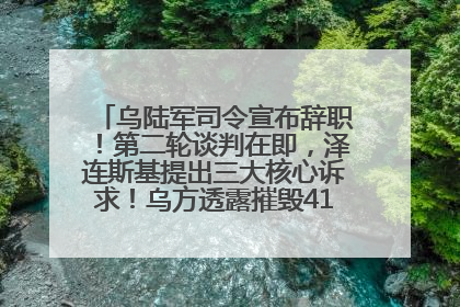乌陆军司令宣布辞职！第二轮谈判在即，泽连斯基提出三大核心诉求！乌方透露摧毁41架俄战略轰炸机