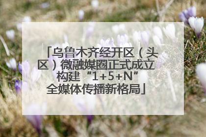 乌鲁木齐经开区（头区）微融媒圈正式成立 构建“1+5+N”全媒体传播新格局