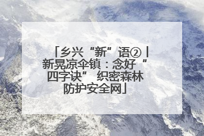 乡兴“新”语②丨新晃凉伞镇：念好“四字诀” 织密森林防护安全网