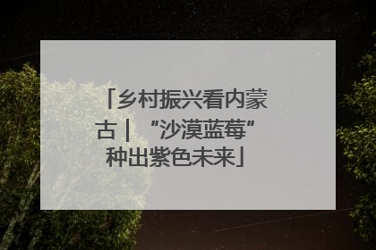 乡村振兴看内蒙古｜“沙漠蓝莓”种出紫色未来