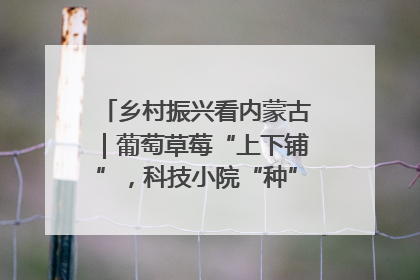 乡村振兴看内蒙古｜葡萄草莓“上下铺”，科技小院“种”出三倍效益