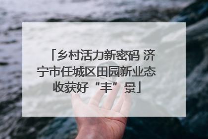 乡村活力新密码 济宁市任城区田园新业态收获好“丰”景