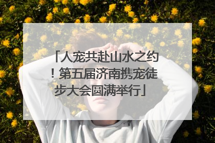 人宠共赴山水之约！第五届济南携宠徒步大会圆满举行