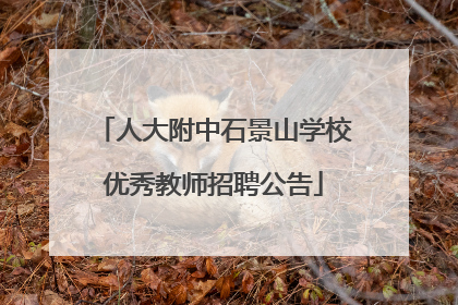 人大附中石景山学校优秀教师招聘公告