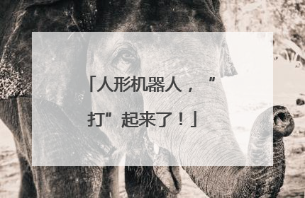 人形机器人，“打”起来了！