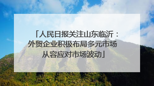 人民日报关注山东临沂：外贸企业积极布局多元市场 从容应对市场波动