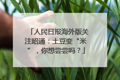 人民日报海外版关注昭通：土豆变“米”，你想尝尝吗？