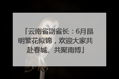 云南省副省长：6月昆明繁花似锦，欢迎大家共赴春城、共聚南博