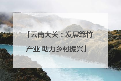 云南大关：发展筇竹产业 助力乡村振兴