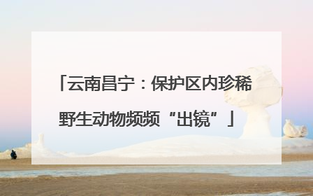 云南昌宁：保护区内珍稀野生动物频频“出镜”