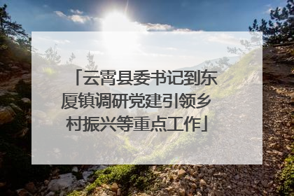 云霄县委书记到东厦镇调研党建引领乡村振兴等重点工作