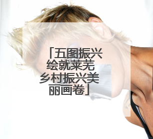 五图振兴 绘就莱芜乡村振兴美丽画卷