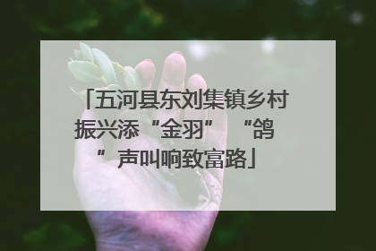 五河县东刘集镇乡村振兴添“金羽” “鸽”声叫响致富路