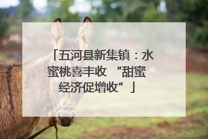 五河县新集镇：水蜜桃喜丰收 “甜蜜经济促增收”
