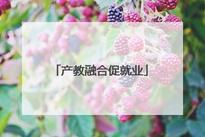 产教融合促就业