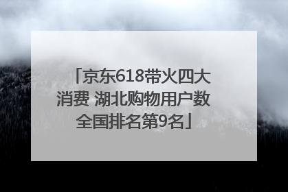 京东618带火四大消费 湖北购物用户数全国排名第9名