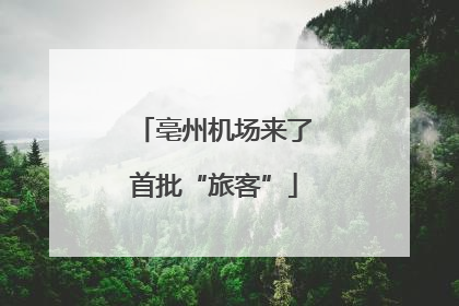 亳州机场来了首批“旅客”