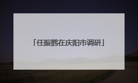 任振鹤在庆阳市调研