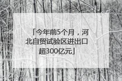 今年前5个月，河北自贸试验区进出口超300亿元