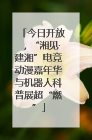 今日开放，“湘见·建湘”电竞动漫嘉年华与机器人科普展超“燃”