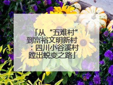 从“五难村”到富裕文明新村：四川小谷溪村蹚出蜕变之路