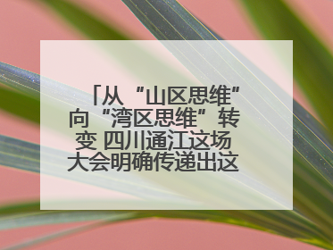 从“山区思维”向“湾区思维”转变 四川通江这场大会明确传递出这些信号