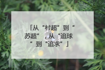 从“村超”到“苏超”，从“追球”到“追求”