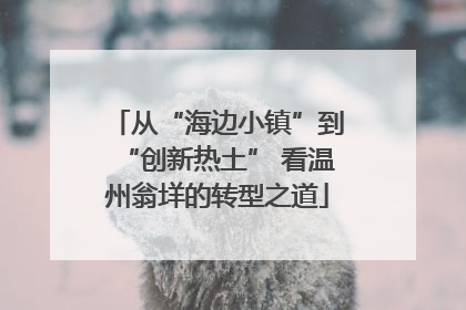 从“海边小镇”到“创新热土” 看温州翁垟的转型之道