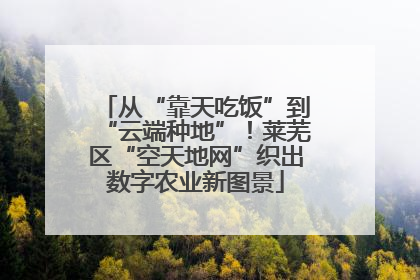 从“靠天吃饭”到“云端种地”！莱芜区“空天地网”织出数字农业新图景