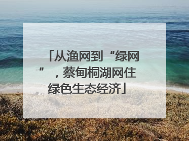 从渔网到“绿网”，蔡甸桐湖网住绿色生态经济